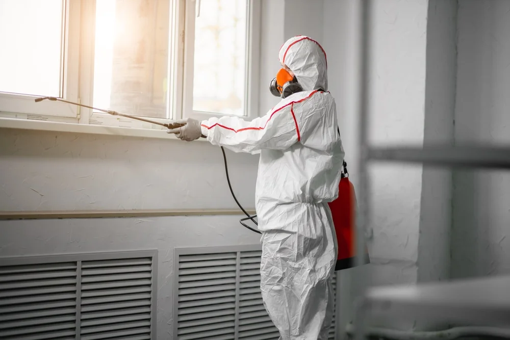 Professional mold remediation services in Marlow, NH